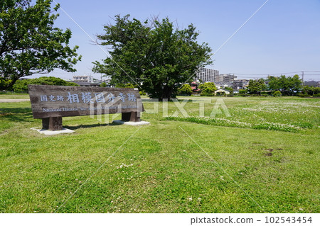 國家史蹟相模國分寺遺址 102543454