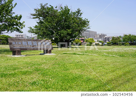 國家史蹟相模國分寺遺址 102543456