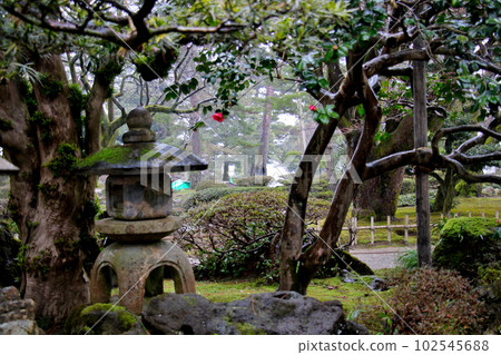 金澤文化財產指定庭園特別名勝兼六園 金澤文化財產指定庭園特別名勝兼六園 102545688