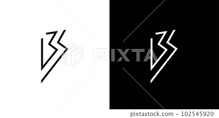 Modern and unique letter BS initials logo design Modern and unique letter BS initials logo design 102545920