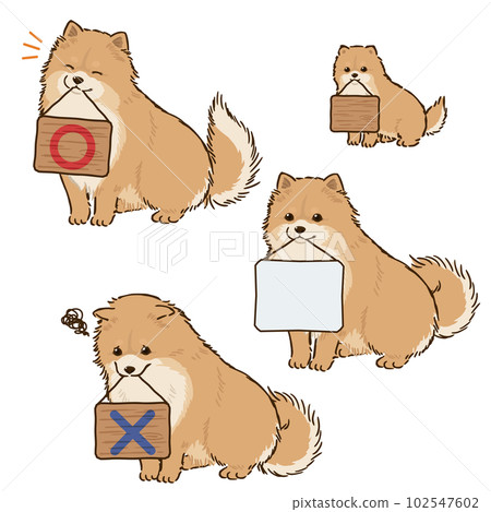 拿著招牌的博美犬(橙色) 拿著招牌的博美犬(橙色) 102547602