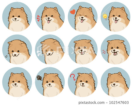 博美犬面部表情圖標集（橙色） 102547603