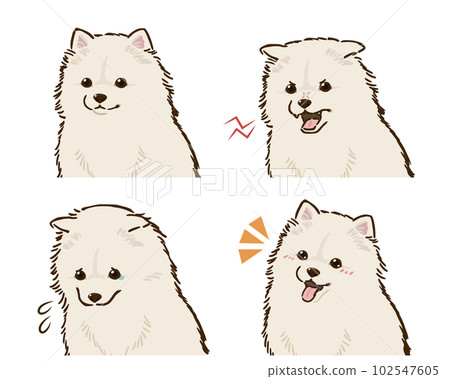 Pomeranian emotions set (white) Pomeranian emotions set (white) 102547605