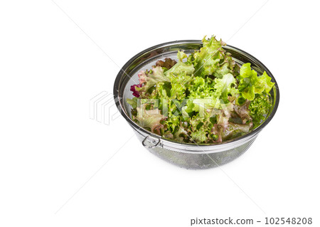 Freshly washed red lettuce in a colander. sten net 102548208