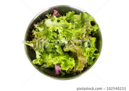 Red lettuce in a stainless bowl. clean lettuce 102548233