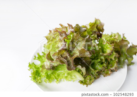 Red lettuce in a white bowl. Red lettuce in a white bowl. 102548293