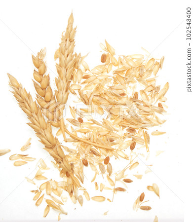 Wheat on white Wheat on white 102548400