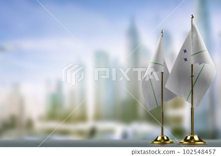 Small flags of the Mercosur on an abstract blurry background Small flags of the Mercosur on an abstract blurry background 102548457