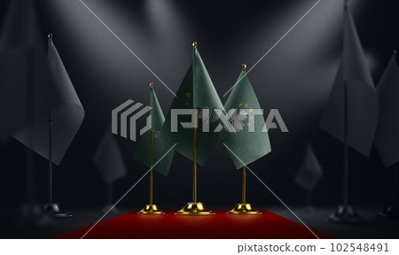 The Macao national flag on the red carpet 102548491