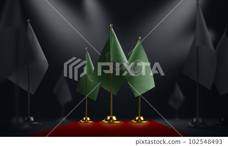 The Arab League national flag on the red carpet 102548493