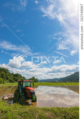 水田和拖拉機（大分縣宇佐市園內町）[7月] 102549067