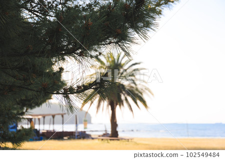 beach in summer 102549484