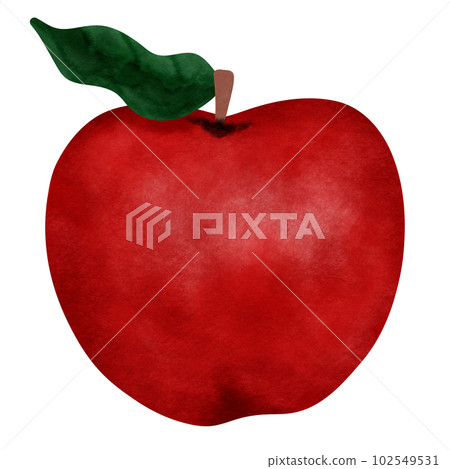 apple red hand painted white background 102549531
