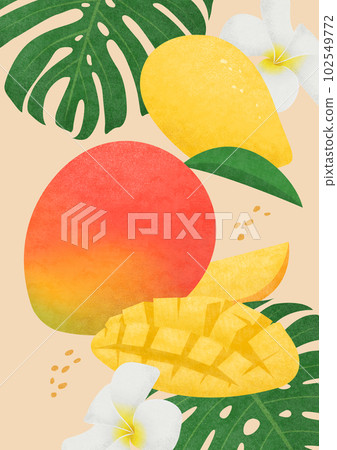 Illustration of mongoes and tropical plants. 102549772