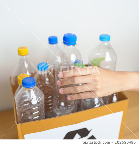 Volunteer keep plastic bottle into paper box at home or office. Hand Sorting Recycle garbage. Ecology, Environmental, pollution, Dispose recycling, waste management and trash Separation concept 102550496