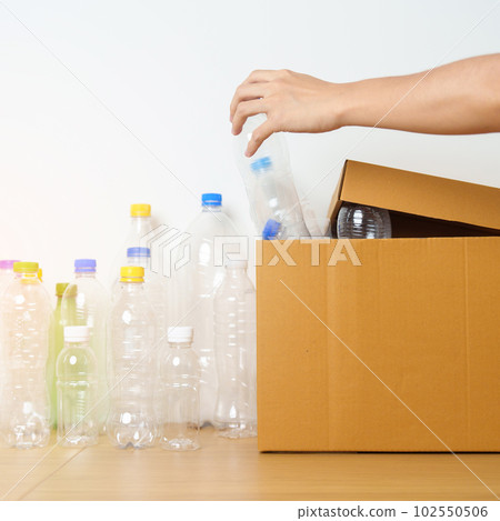 Volunteer keep plastic bottle into paper box at home or office. Hand Sorting Recycle garbage. Ecology, Environmental, pollution, Dispose recycling, waste management and trash Separation concept 102550506