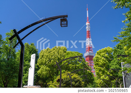 《Tokyo》Fresh green and Tokyo Tower・Shiba Park in early summer 102550985