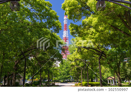 《東京》初夏的新綠與東京鐵塔・芝公園 102550997