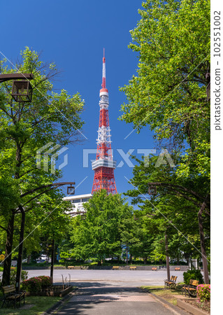 《Tokyo》Fresh green and Tokyo Tower・Shiba Park in early summer 102551002