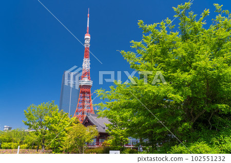 《東京》初夏的新綠與東京鐵塔・芝公園 102551232