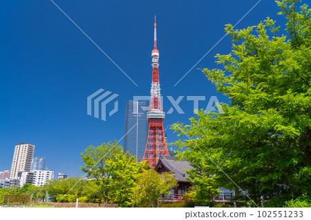 《東京》初夏的新綠與東京鐵塔・芝公園 102551233