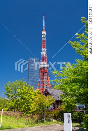 《東京》初夏的新綠與東京鐵塔・芝公園 102551234