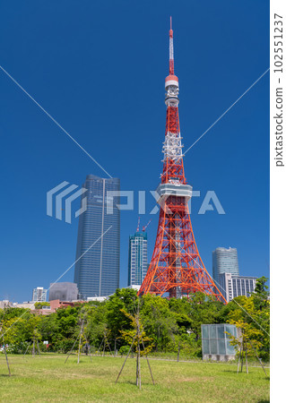 《東京》初夏的新綠與東京鐵塔・芝公園 102551237