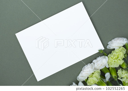 carnation card mockup 102552265