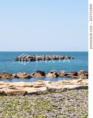 Scenery of the Seto Inland Sea (Harimanada) in early summer. The coast in Akashi City, Hyogo Prefecture. (vertical composition) 102552600