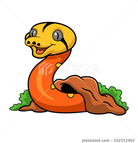 Cute albino golden child reticulated python cartoon out from hole Cute albino golden child reticulated python cartoon out from hole 102552992