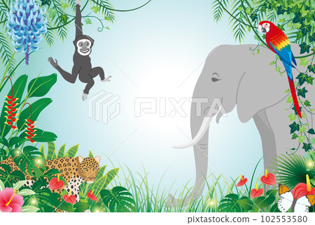 animals living in the jungle 102553580