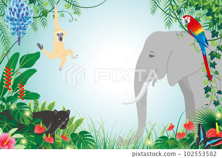 生活在叢林中的動物 102553582