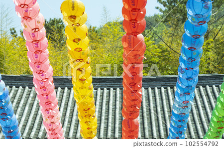 Buddha's Birthday, Buddha's Birthday Buddha's Birthday, Buddha's Birthday 102554792