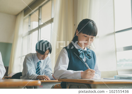 junior high school student, junior high student, middle school student 102555436