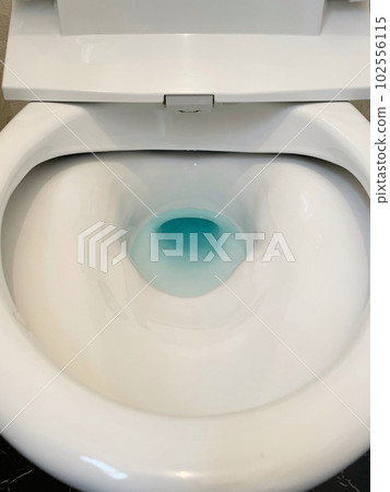 乾淨的廁所 102556115