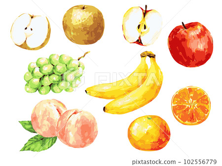Many fruits hand-drawn vector illustration 102556779