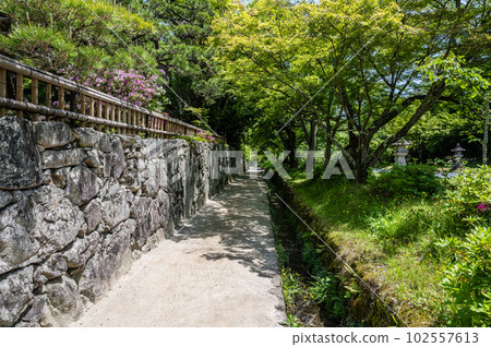 沿著大津市坂本石垣的步行街 102557613