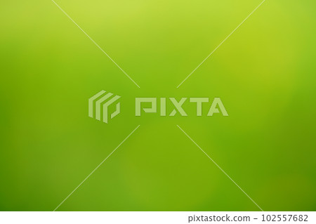 Wild flower dandelion circle bokeh background material 102557682