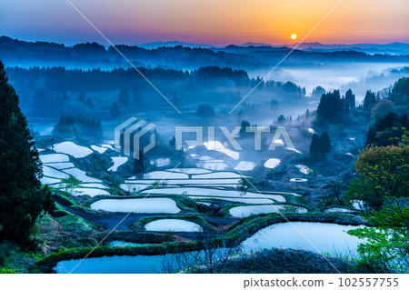Niigata's Hoshitoge Terraced Rice Fields ~Early morning in April with morning fog~ 102557755