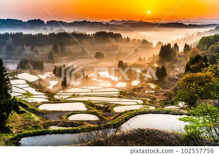 Niigata's Hoshitoge Terraced Rice Fields ~Early morning in April with morning fog~ 102557756