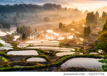 Niigata's Hoshitoge Terraced Rice Fields ~Early morning in April with morning fog~ 102557758