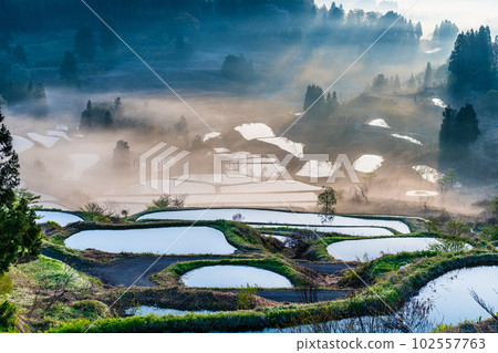 Niigata's Hoshitoge Terraced Rice Fields ~Early morning in April with morning fog~ Niigata's Hoshitoge Terraced Rice Fields ~Early morning in April with morning fog~ 102557763