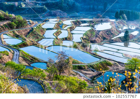 Niigata's Hoshitoge Terraced Rice Fields ~Early morning in April with morning fog~ Niigata's Hoshitoge Terraced Rice Fields ~Early morning in April with morning fog~ 102557767