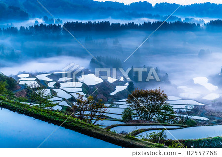 Niigata's Hoshitoge Terraced Rice Fields ~Early morning in April with morning fog~ Niigata's Hoshitoge Terraced Rice Fields ~Early morning in April with morning fog~ 102557768