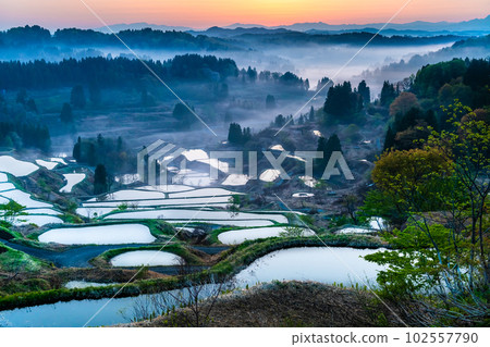 新潟的星峠梯田～四月的晨霧清晨～ 102557790