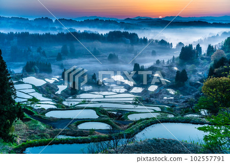 新潟的星峠梯田～四月的晨霧清晨～ 102557791