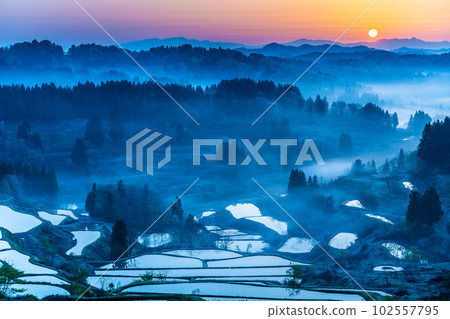 Niigata's Hoshitoge Terraced Rice Fields ~Early morning in April with morning fog~ 102557795