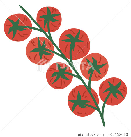 Cartoon cherry tomato. Hand drawn raw tomatoes vegetable. Organic tasty garden tomato flat vector illustration on white background 102558010