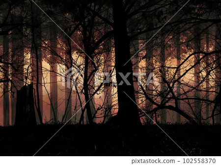 在黑暗的森林裡 102558370