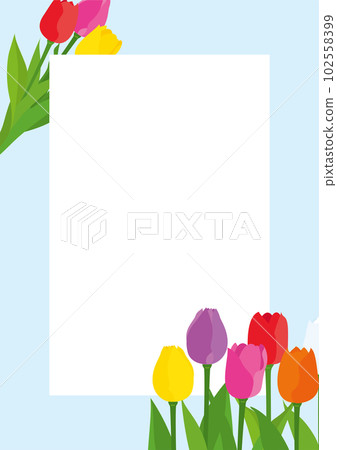 Colorful tulip design frame background material 102558399